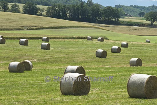 field haybales 24